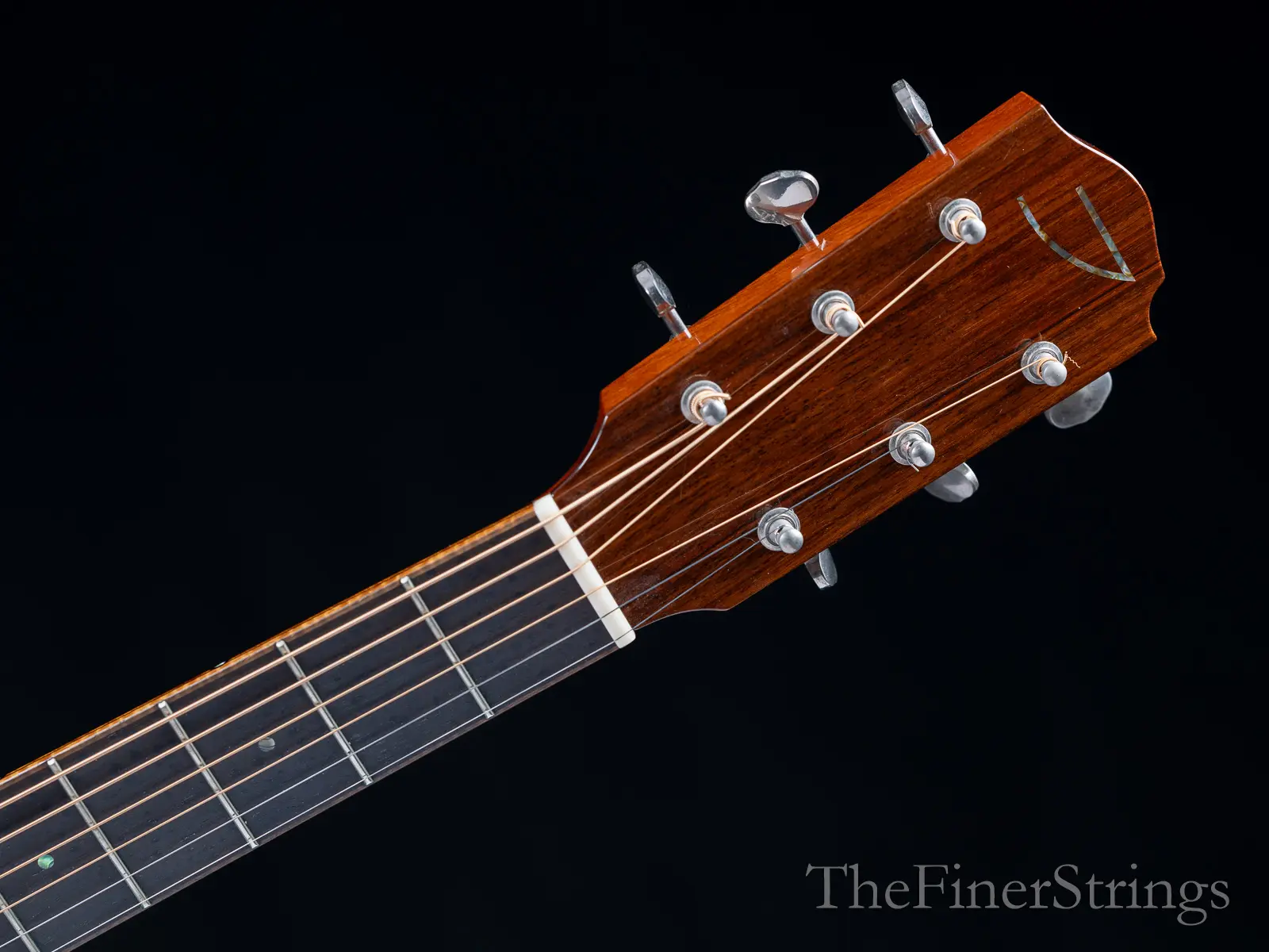 Ted Thompson T1 Deluxe headstock face