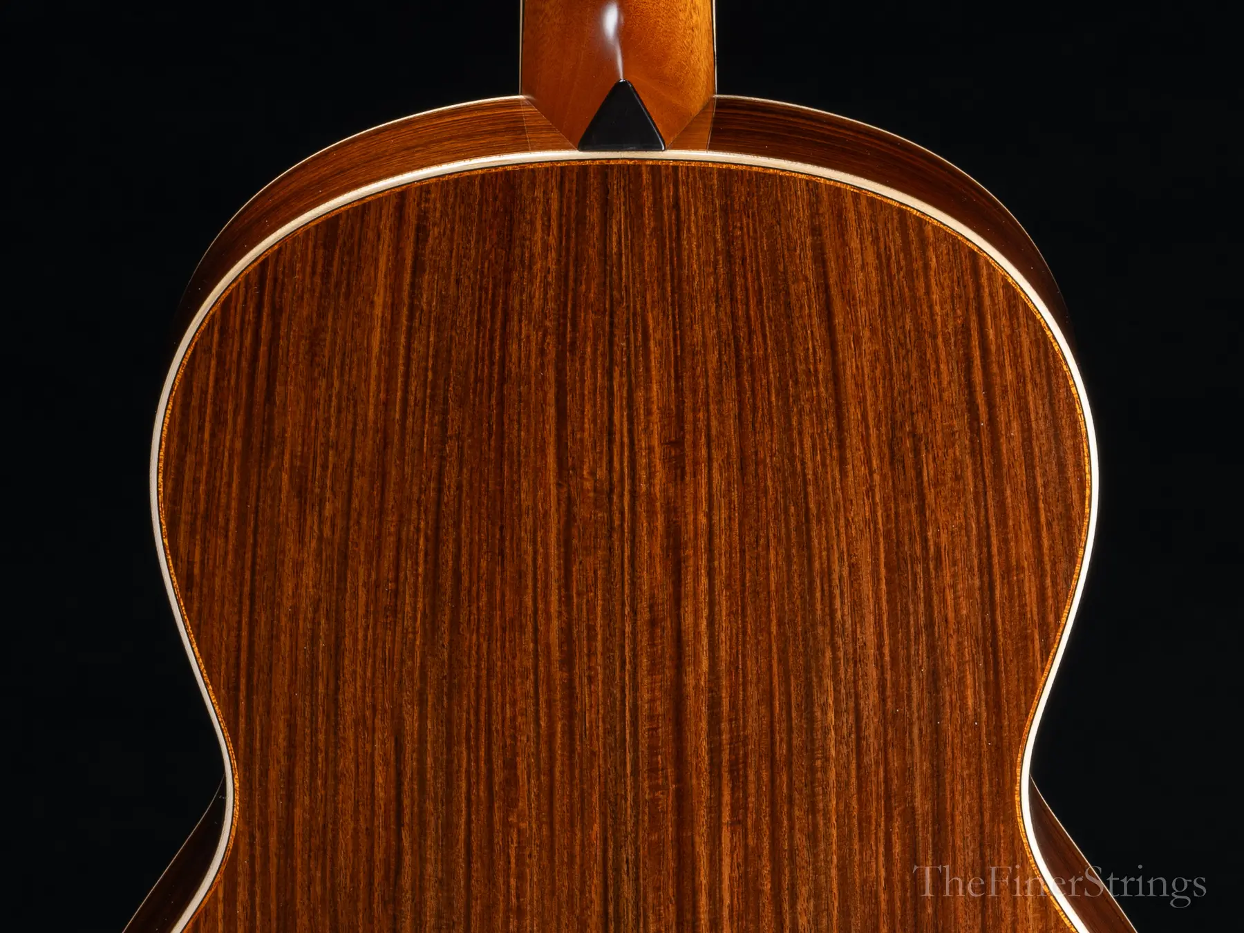 Ted Thompson T2X upper bout back